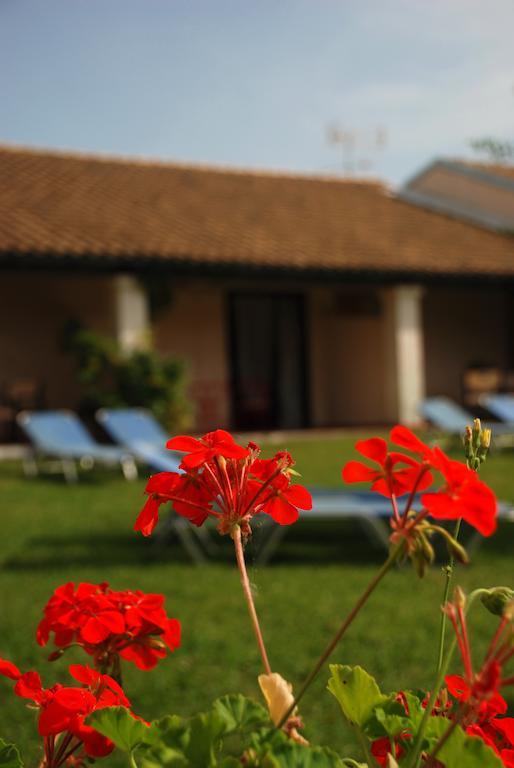 Lefkes Apartments Acharavi  Habitación foto